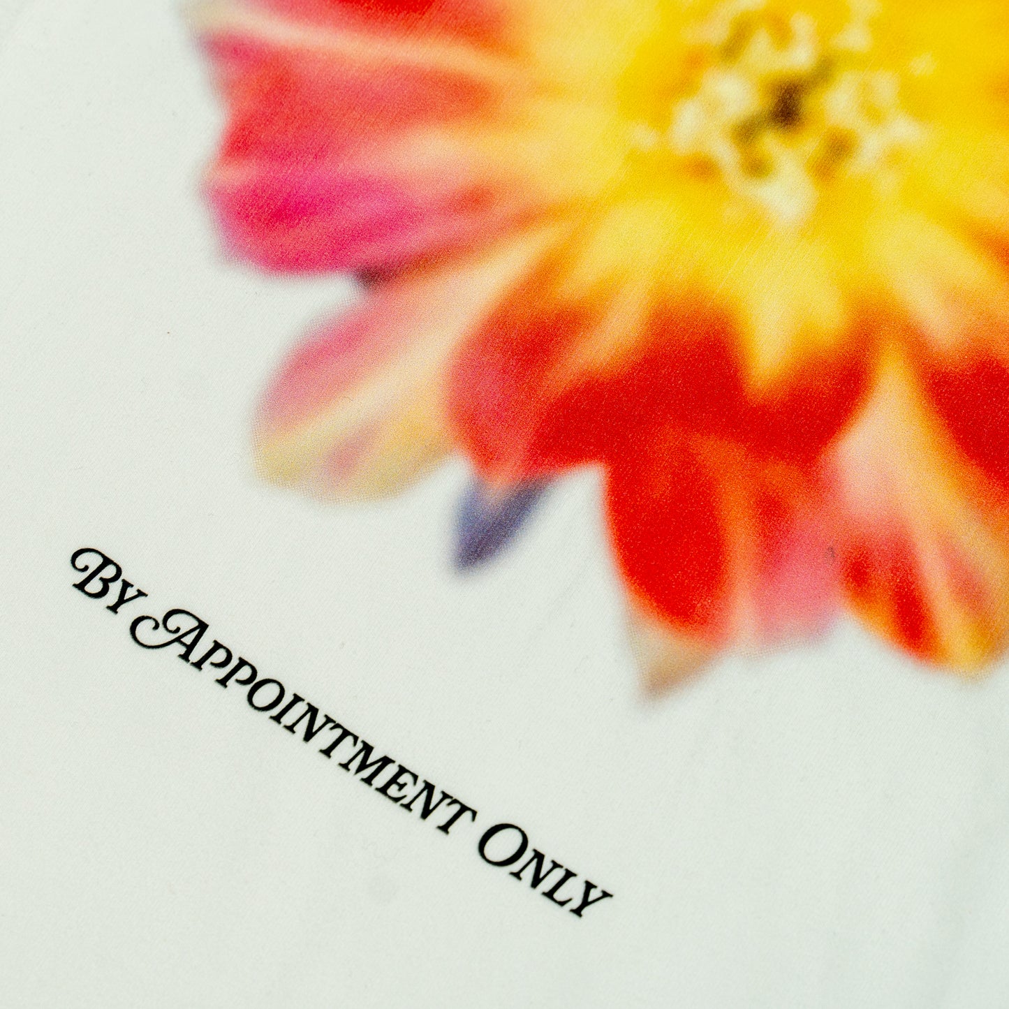desert flower | t-shirt