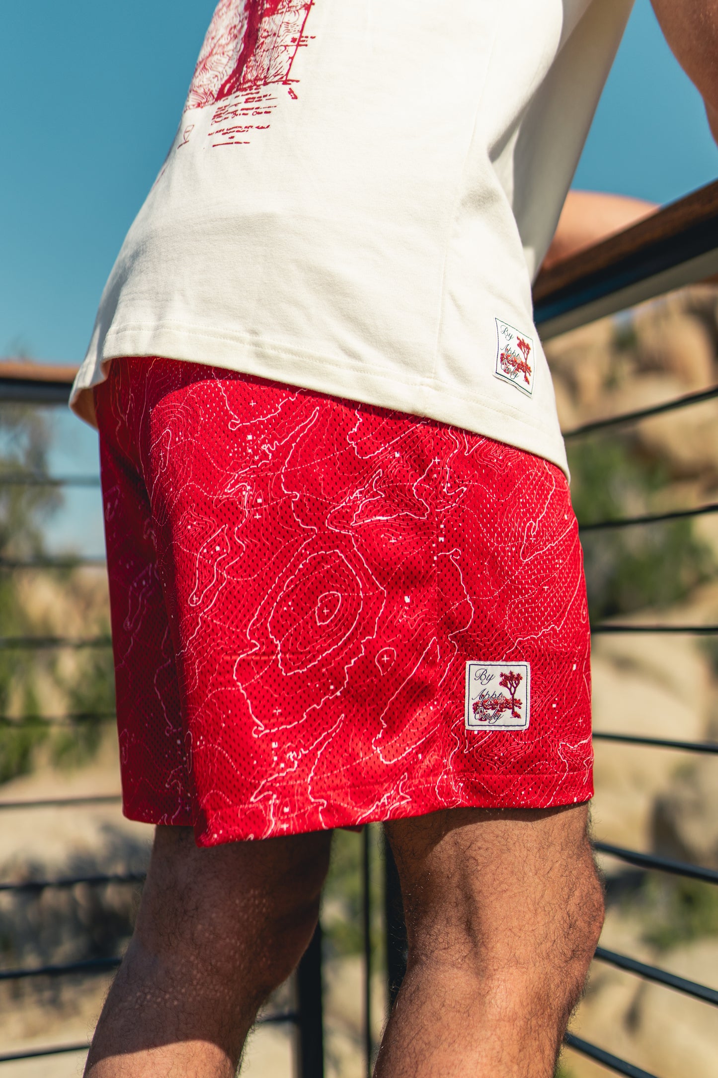 topo | short