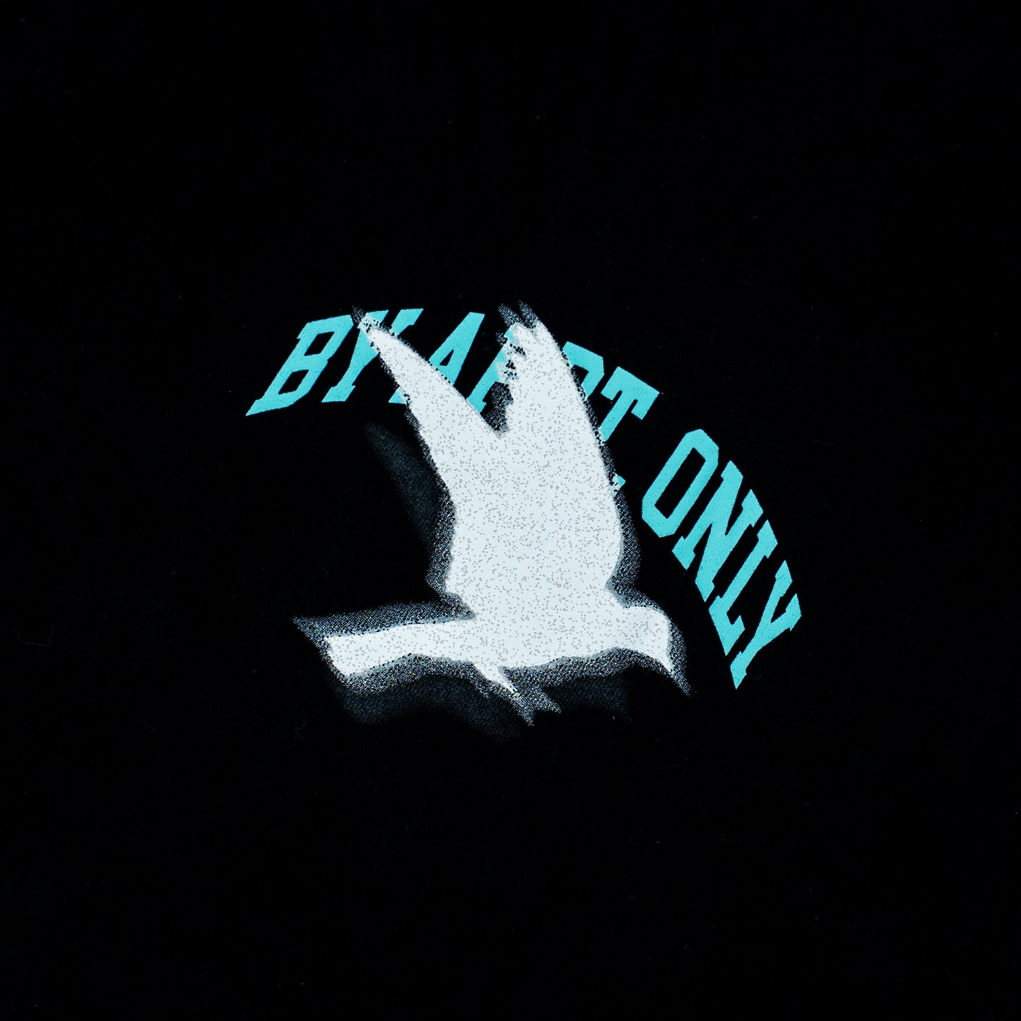 spiritual freedom | t-shirt