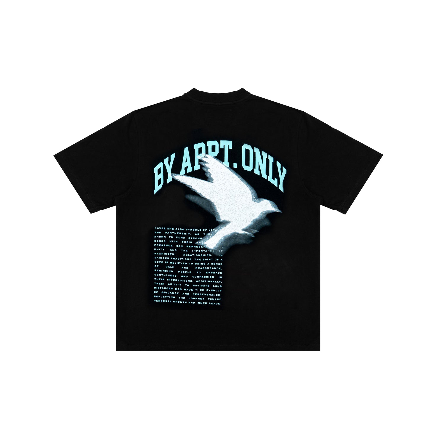 spiritual freedom | t-shirt