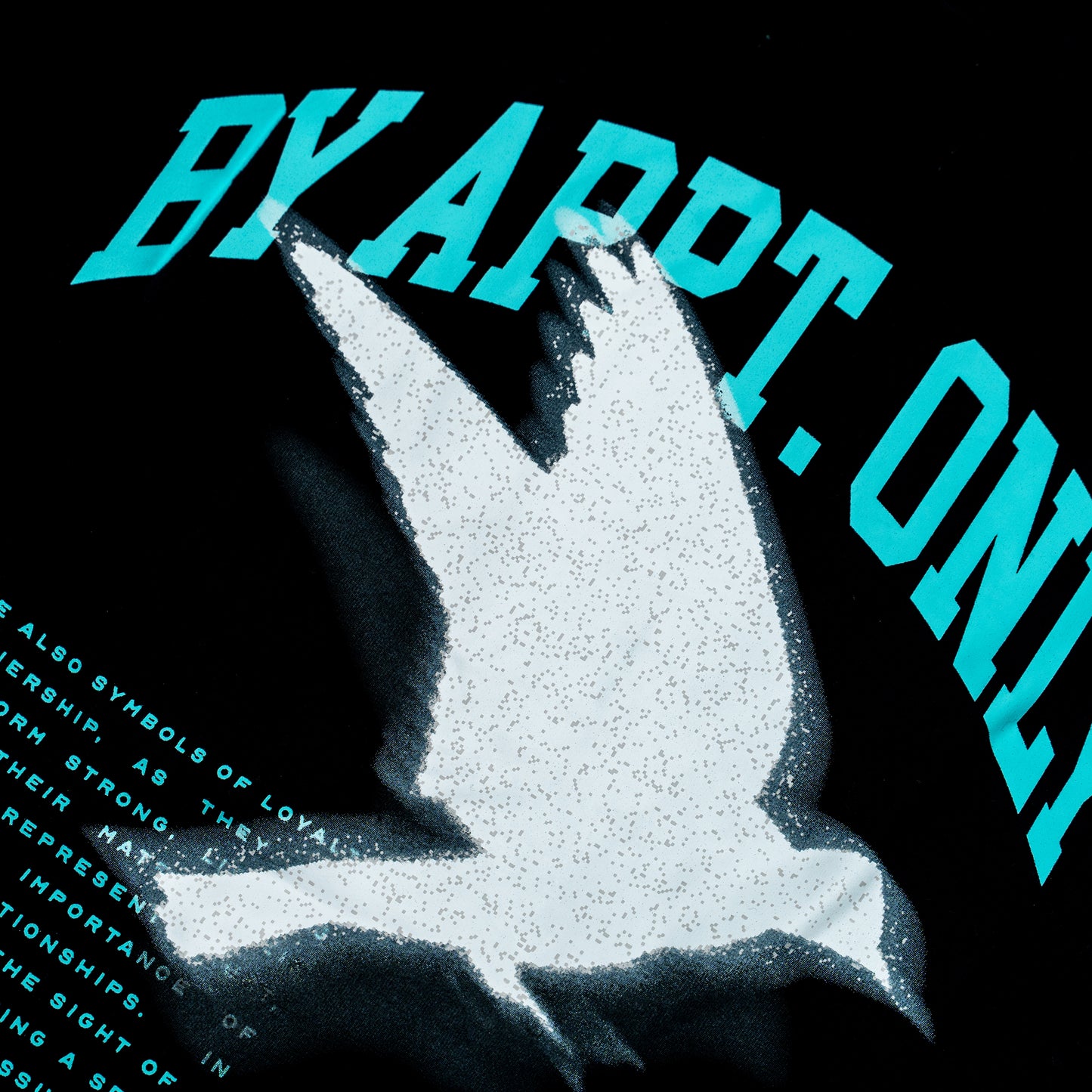 spiritual freedom | t-shirt