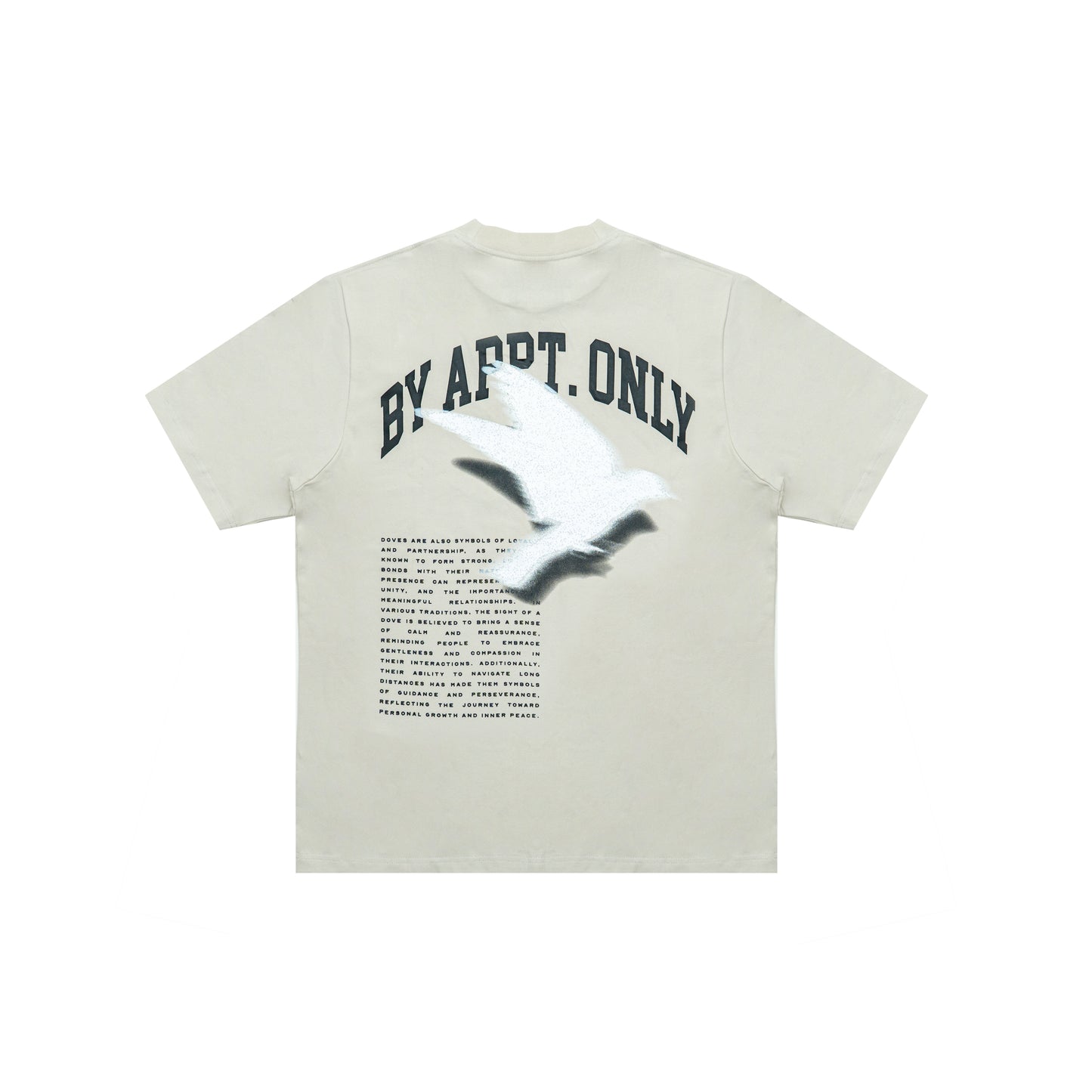 spiritual freedom | t-shirt