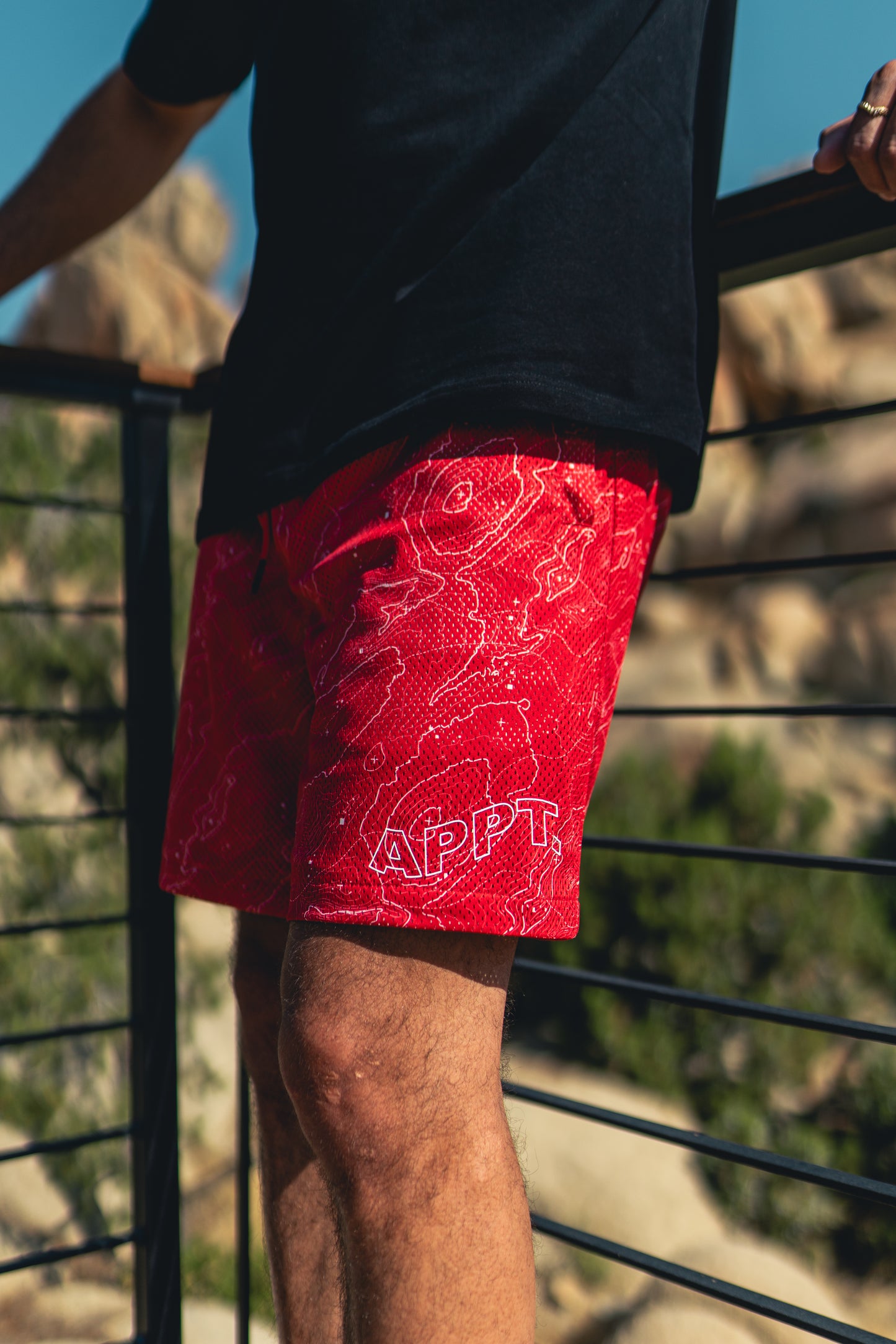 topo | short