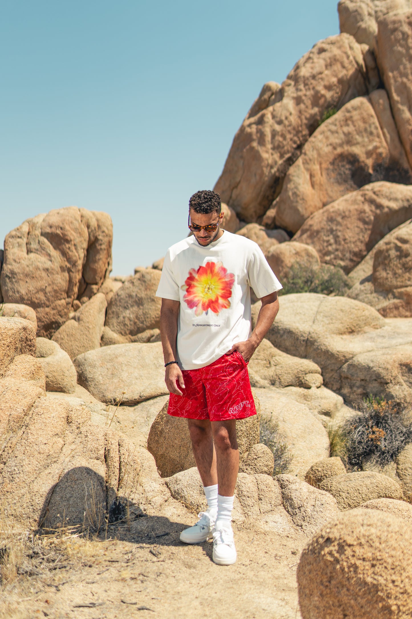 desert flower | t-shirt