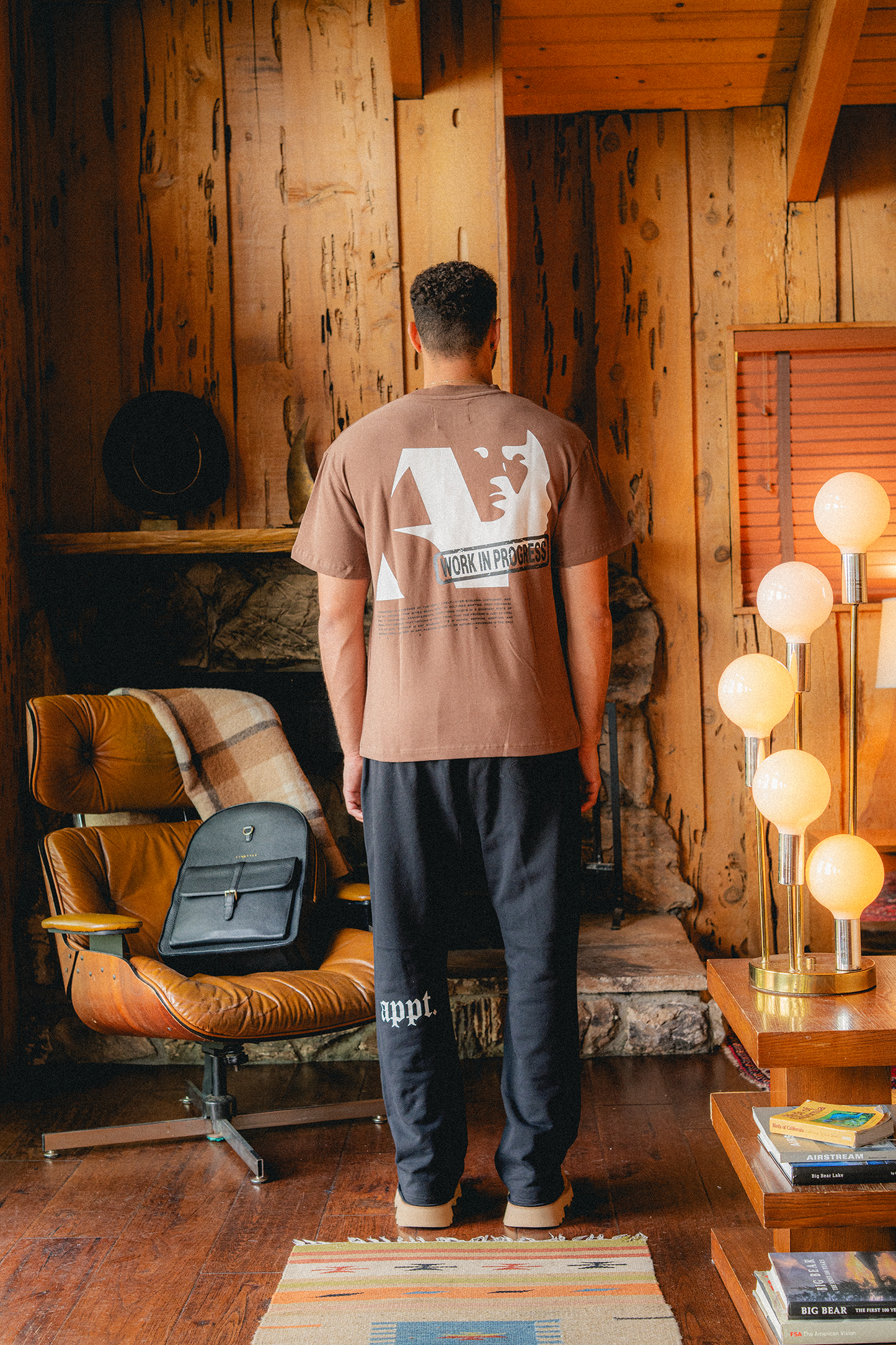 taking flight | t-shirt